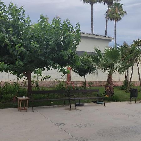 Apartamento Con Piscina Y Cerca De La Playa Appartement Benicàssim Buitenkant foto